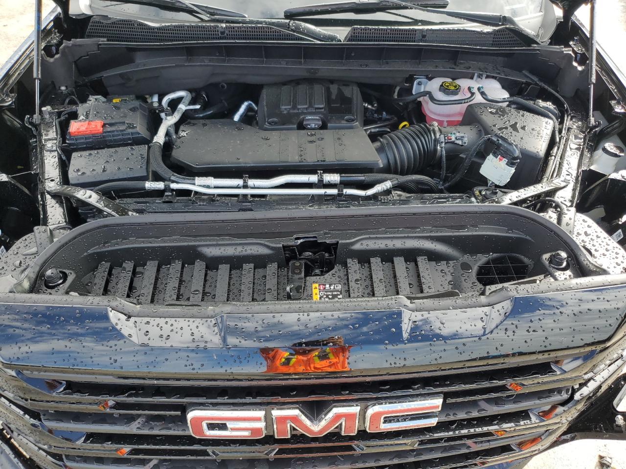 2023 GMC SIERRA C1500 ELEVATION VIN:3GTPHCEK8PG347214