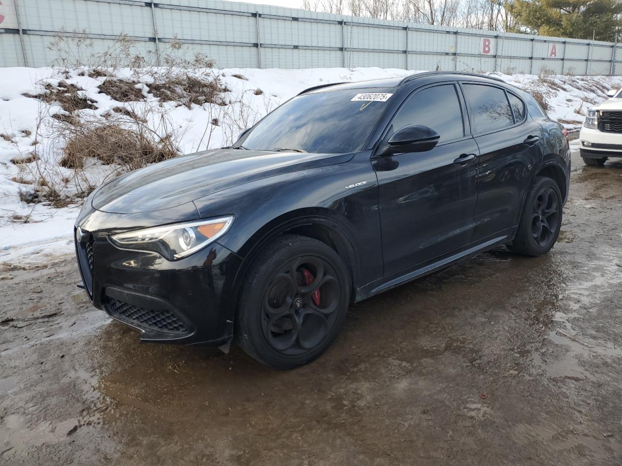2023 ALFA ROMEO STELVIO TI VIN:ZASPAKBN9P7D57170
