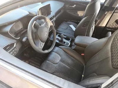 2020 Hyundai Santa FE KMHS381CDLU232465 VIN:KMHS381CDLU232465