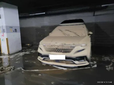 2021 Kia Carnival KNANE813BMS040422 VIN:KNANE813BMS040422