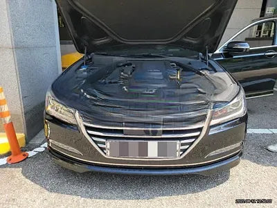 2015 acupuncture nessis 3.3 NONE VIN: