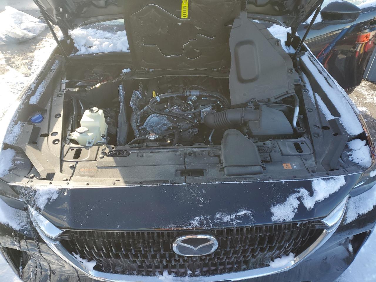 2024 MAZDA CX-90 PREMIUM PLUS VIN:JM3KKEHA6R1139805