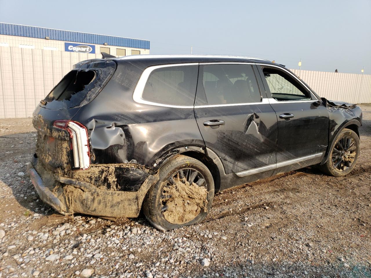 2022 KIA TELLURIDE SX VIN:5XYP5DHC3NG214648