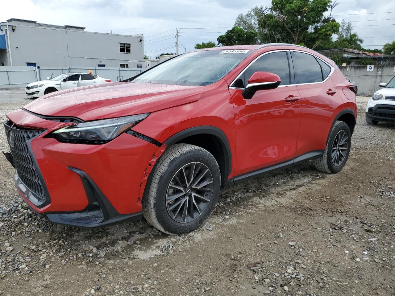 2024 LEXUS NX 250 BASE VIN:2T2ADCAZ1RC015158