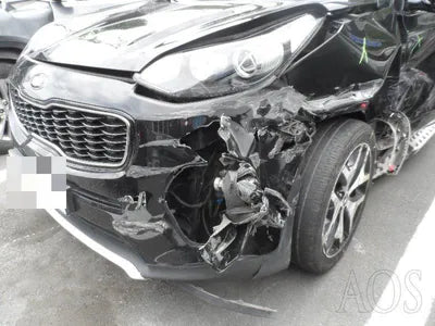 2016 Kia Sportage KNAPN813BHK226684 VIN:KNAPN813BHK226684