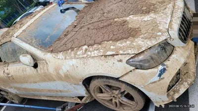 2019 Mercedes-Benz E 220 WDD1K1EB0KF115623 VIN:WDD1K1EB0KF115623