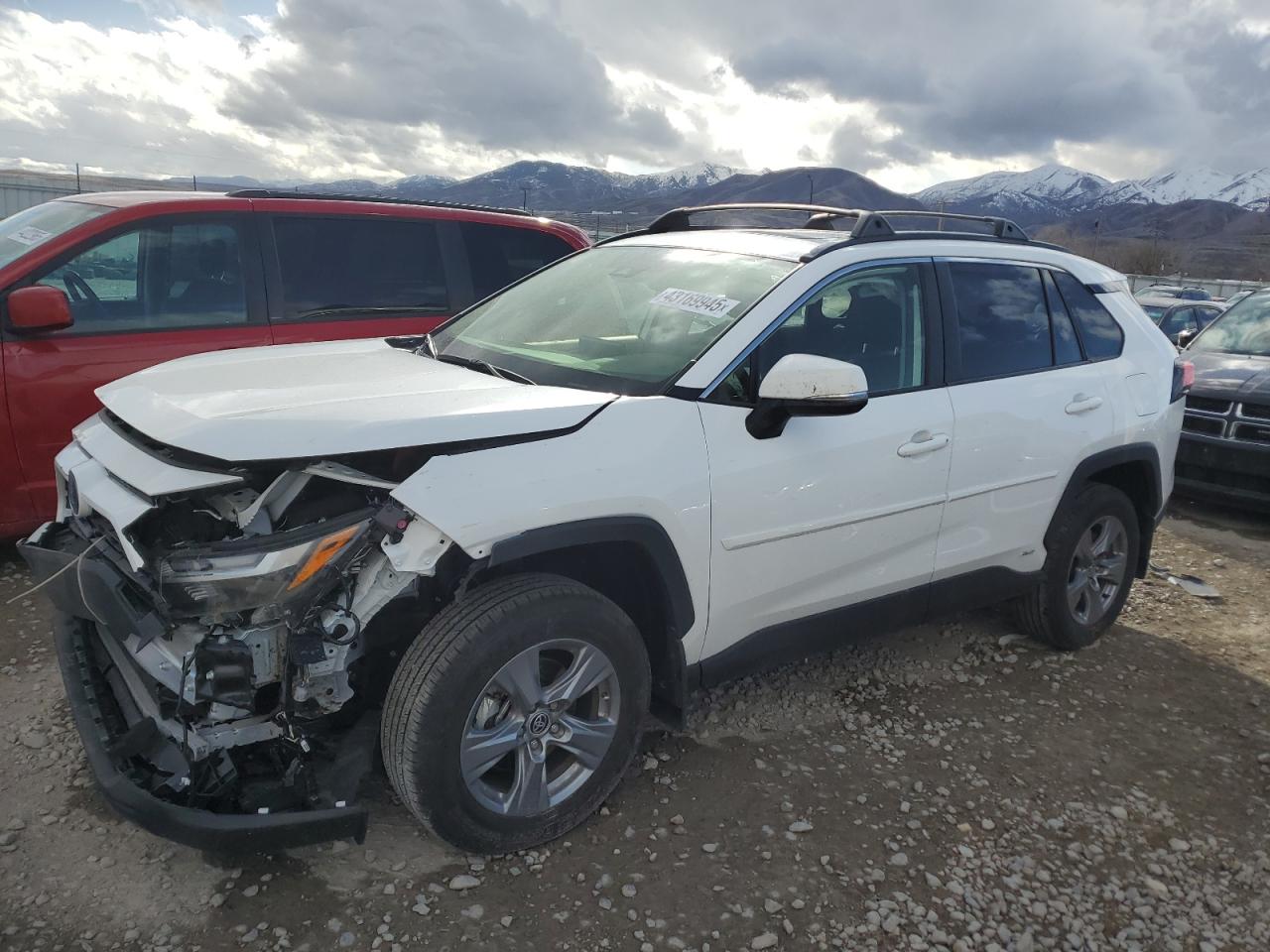 2024 TOYOTA RAV4 XLE VIN:JTMRWRFV8RD238892
