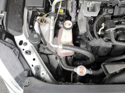 2019 Toyota Camry VIN: