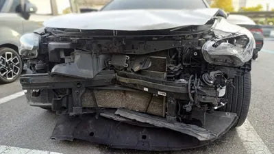 2021 Kia Stinger KNAE351DBMS101749 VIN:KNAE351DBMS101749