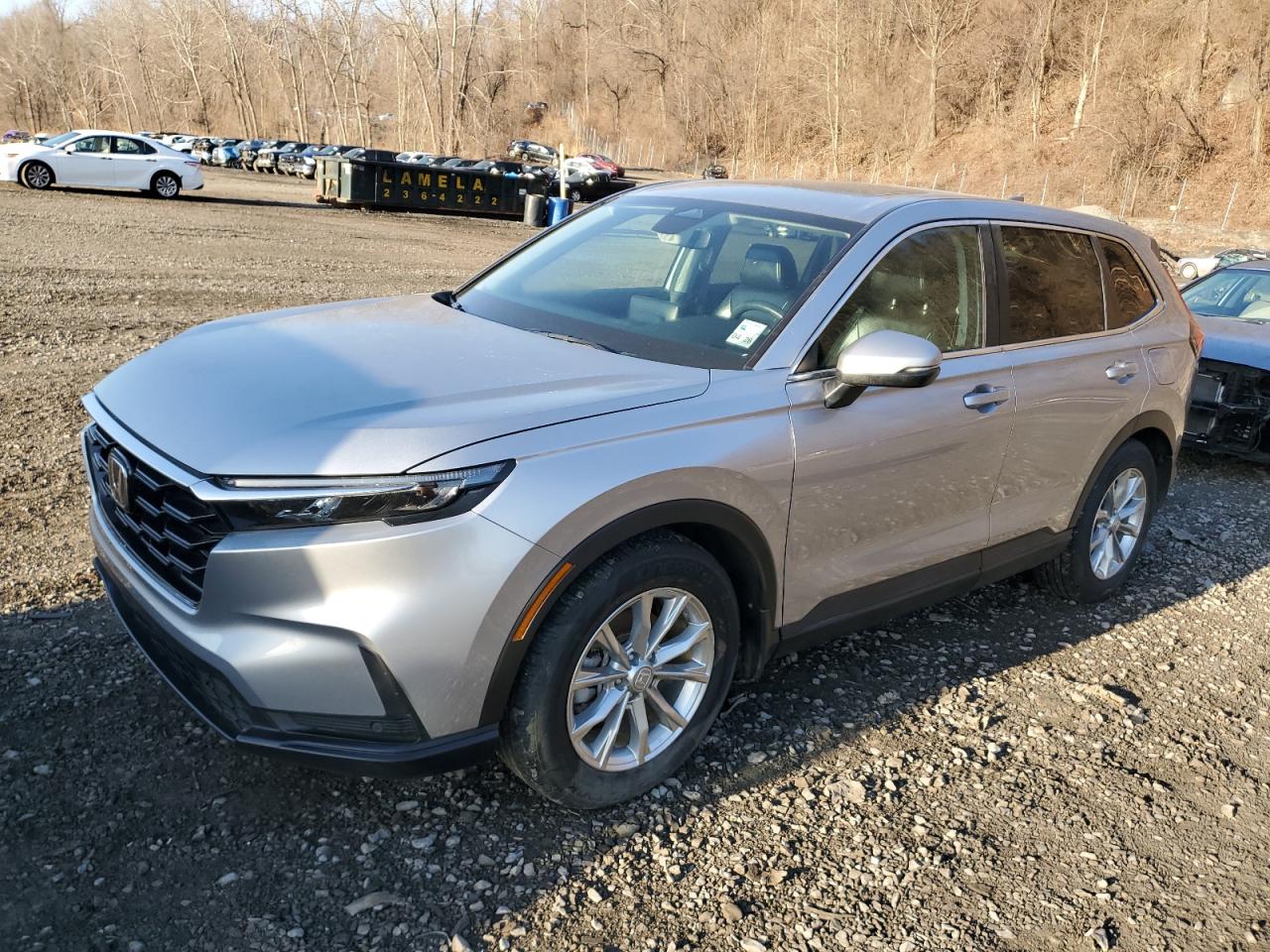 2024 HONDA CR-V EXL VIN:5J6RS3H77RL004654