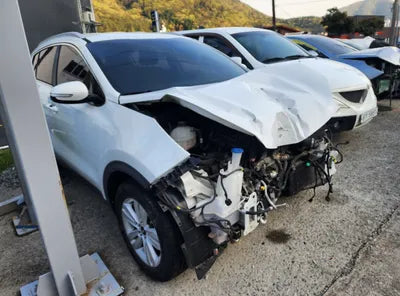 2016 Kia Sportage KNAPM813BGK004198 VIN:KNAPM813BGK004198
