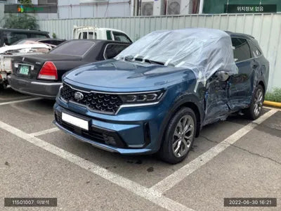 2020 Kia Sorento KNARH81BGMA023064 VIN:KNARH81BGMA023064