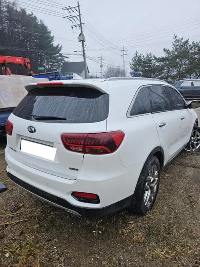 2019 Kia Sorento KNAPH811DLA630874 VIN:KNAPH811DLA630874