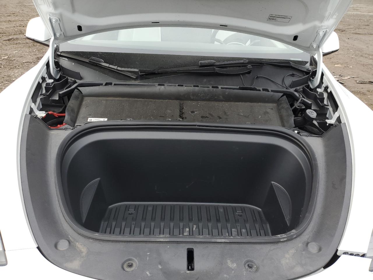 2024 TESLA MODEL Y  VIN:7SAYGDEE7RA234919