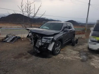 2020 Hyundai Santa FE KMHS281HHMU354890 VIN:KMHS281HHMU354890