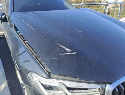 2021 BMW 523 WBA31ES04MWX07865 VIN:WBA31ES04MWX07865