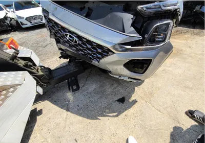 2019 Hyundai Santa FE KMHS381BBKU156411 VIN:KMHS381BBKU156411