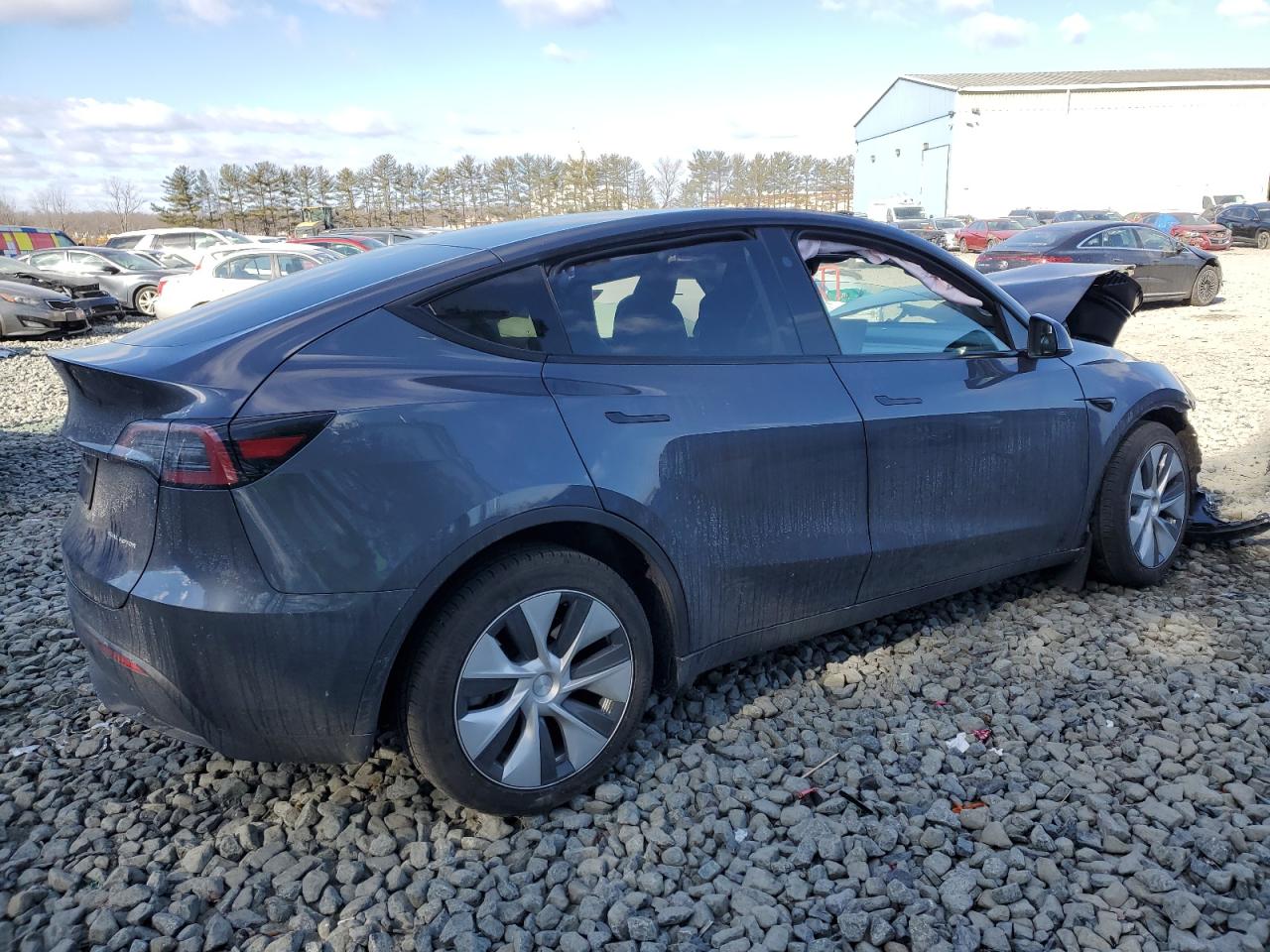 2023 TESLA MODEL Y  VIN:7SAYGDEE8PF886156