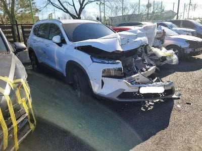 2021 Hyundai Santa FE KMHS381HGMU332250 VIN:KMHS381HGMU332250