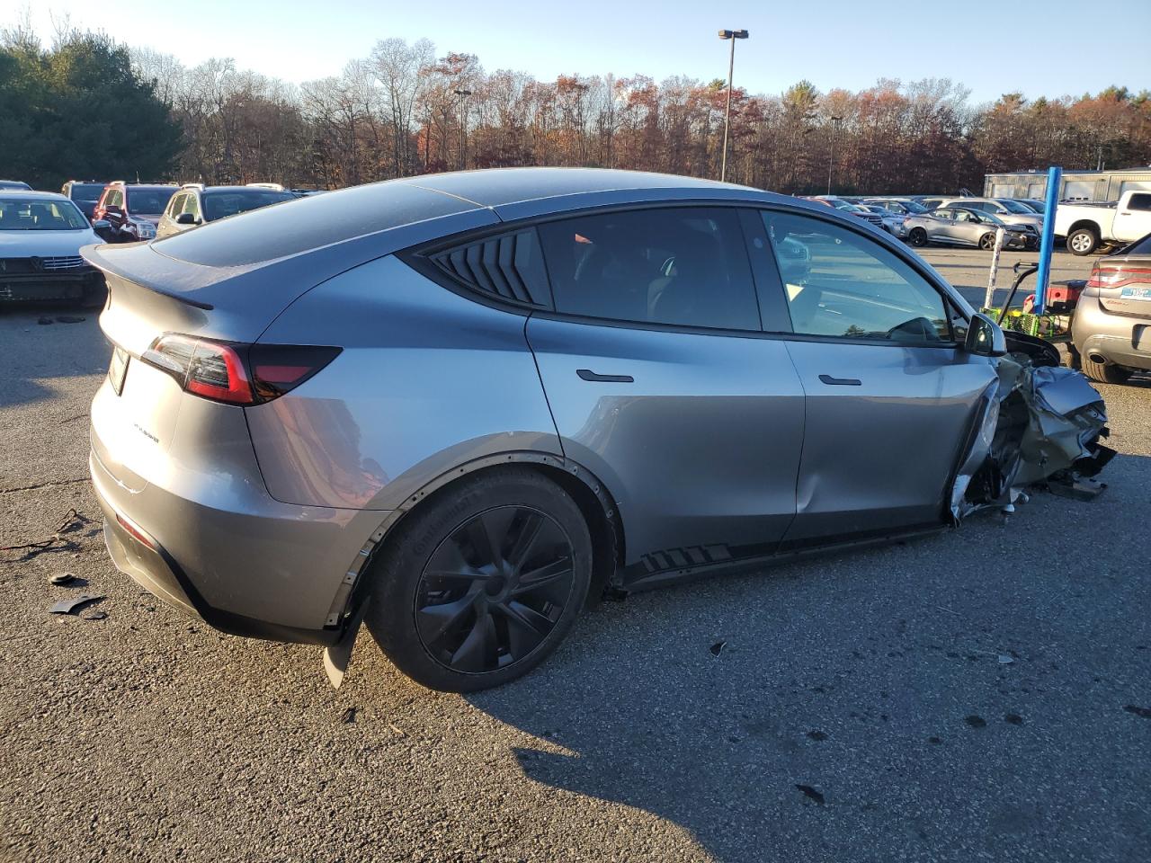 2024 TESLA MODEL Y  VIN:7SAYGDEEXRA300170