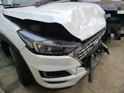 2019 Hyundai Tucson KMHJ281ABLU192693 VIN:KMHJ281ABLU192693