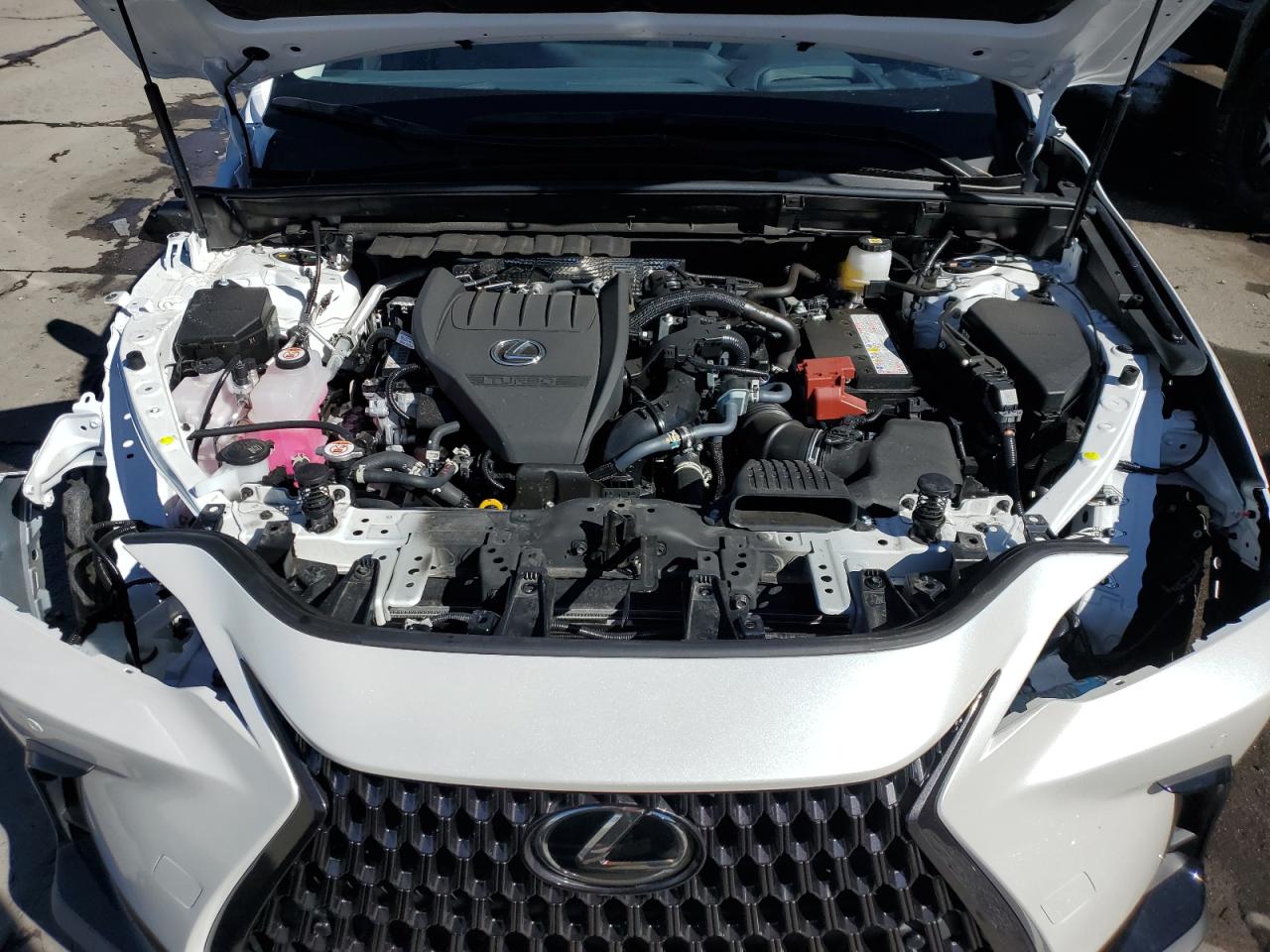 2024 LEXUS NX 350 PREMIUM VIN:JTJGGCEZ0R5007448