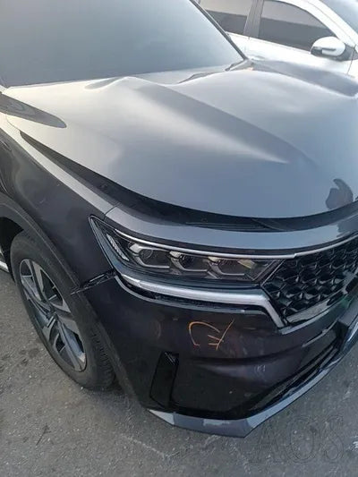 2022 Kia Sorento KNARF81GBNA119324 VIN:KNARF81GBNA119324