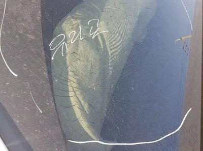 2016 BMW 520 WBA5E5100GG210017 VIN:WBA5E5100GG210017