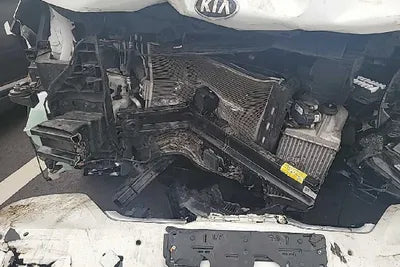 2021 Kia Carnival KNANE81BBMS117645 VIN:KNANE81BBMS117645
