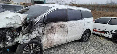 2019 Kia Carnival KNHMF37ABKS553933 VIN:KNHMF37ABKS553933