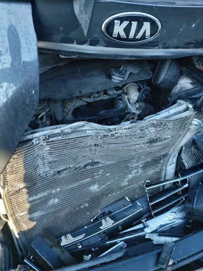 2017 Kia Carnival VIN: