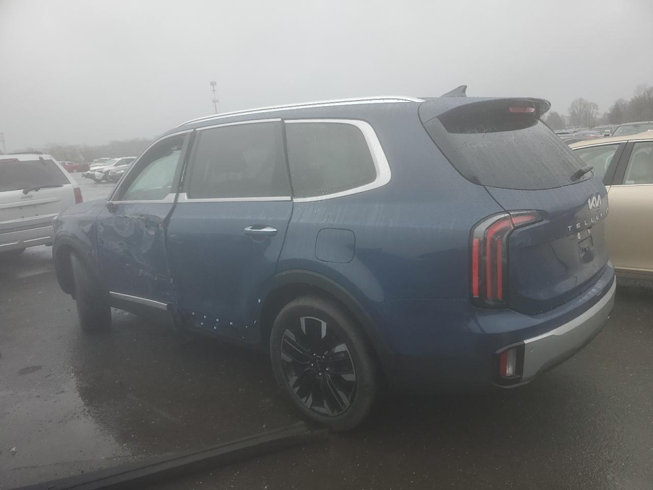 2024 KIA TELLURIDE SX VIN:5XYP5DGC4RG419757