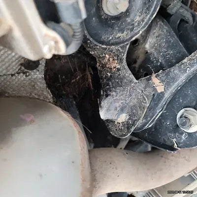 2021 BMW X4 M NONE VIN: