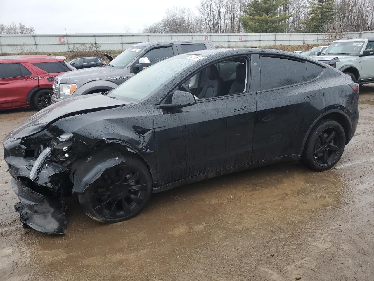 2023 TESLA MODEL Y  VIN:7SAYGDEE8PA189650