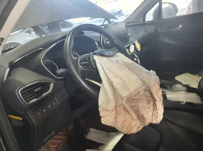 2019 Hyundai Santa FE KMHS381BBKU044937 VIN:KMHS381BBKU044937