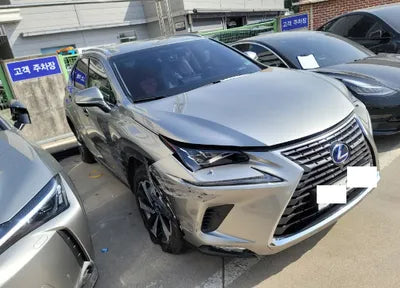 2018 Lexus NX 300 JTJBJRBZ4J2079570 VIN:JTJBJRBZ4J2079570