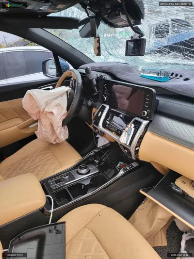 2022 Kia Sorento KNARF81BHPA179003 VIN:KNARF81BHPA179003