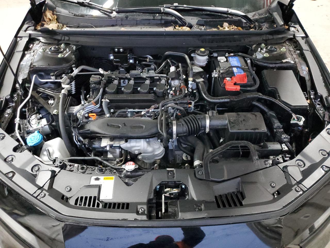 2024 HONDA ACCORD LX VIN:1HGCY1F29RA084848