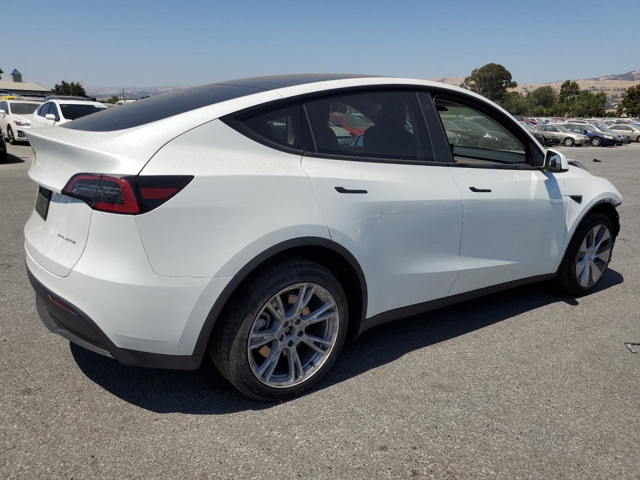 2023 TESLA MODEL Y  VIN:7SAYGDEEXPF743435