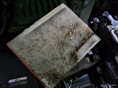 2021 BMW 220 WBA11DF0XM5S81469 VIN:WBA11DF0XM5S81469