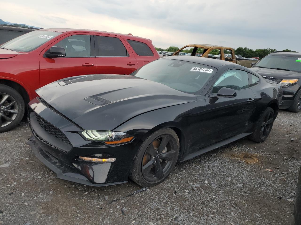 2023 FORD MUSTANG  VIN:1FA6P8TH5P5101608