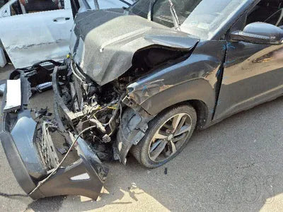 2019 Hyundai Kona KMHK4815GKU409949 VIN:KMHK4815GKU409949