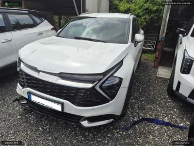 2021 Kia Sportage KNAPV81BGNK030628 VIN:KNAPV81BGNK030628
