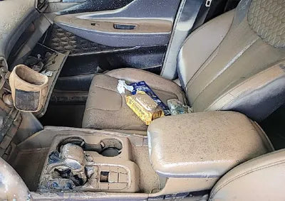 2019 Hyundai Santa FE KMHS381BDKU033487 VIN:KMHS381BDKU033487