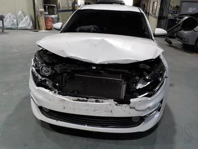2017 Kia K5 KNAGT416BJA190352 VIN:KNAGT416BJA190352