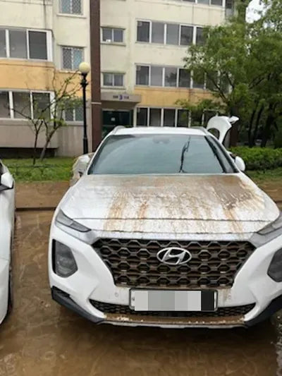 2019 Hyundai Santa FE NONE VIN: