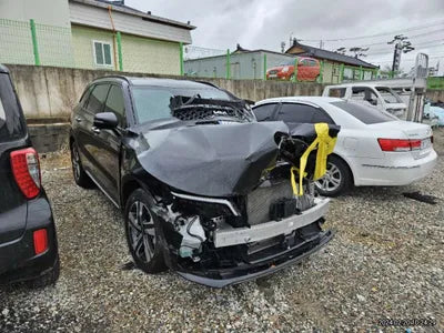 2022 Kia Sorento KNARL81GBNA122306 VIN:KNARL81GBNA122306