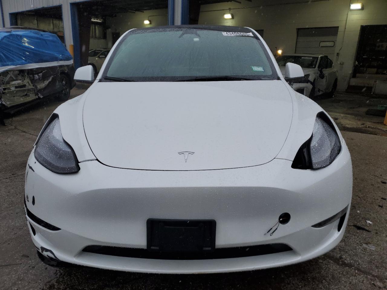2023 TESLA MODEL Y  VIN:7SAYGDEE2PF890770
