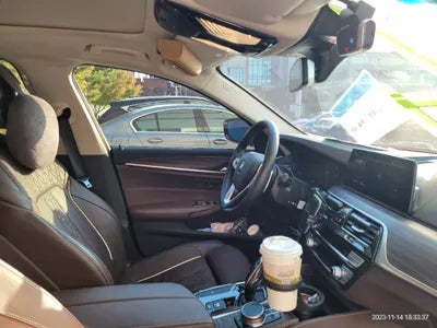 2020 BMW 520 WBAJF3108LCE06873 VIN:WBAJF3108LCE06873