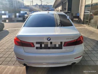 2020 BMW 520 WBAJF3108LCE06873 VIN:WBAJF3108LCE06873